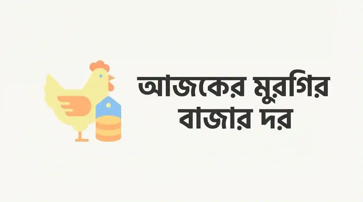 আজকের মুরগির বাজার দর